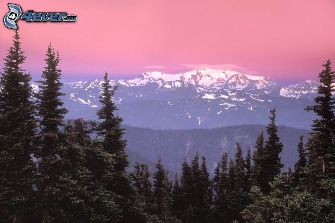 EL MUNDO EN TODO SU ESPLENDOR - Página 17 Montana-nevada,-bosques-de-coniferas,-cielo-de-color-rosa-210846