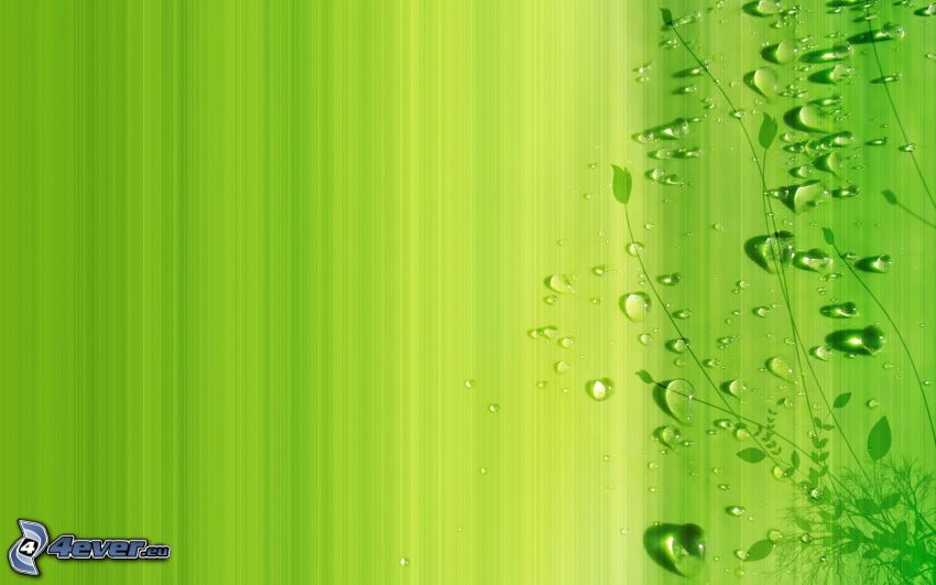 fondo verde, gotas de agua, planta