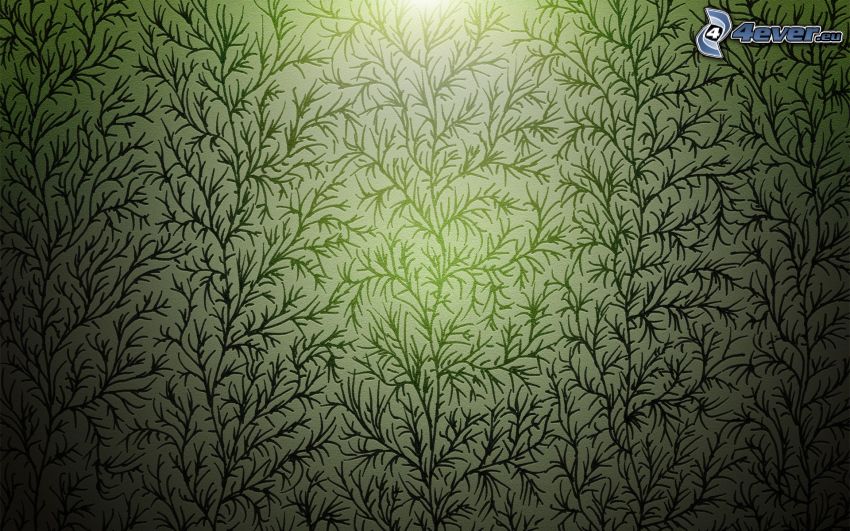 fondo verde, plantas, papel pintado