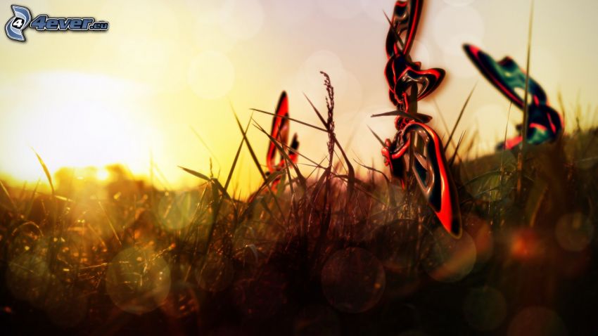 formas abstractas, puesta de sol en la pradera, hierba
