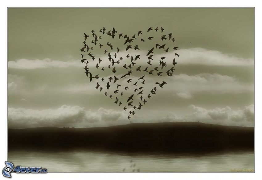 bandada de pájaros, corazón, nubes