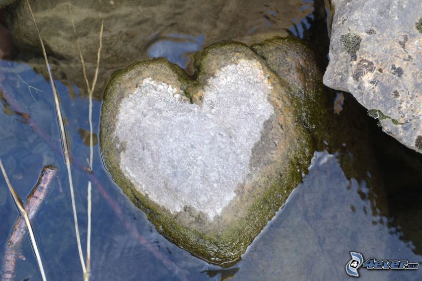 corazón de piedra, agua