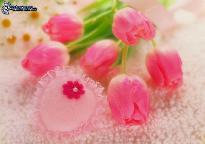 tulipanes de color rosa, corazón rosado