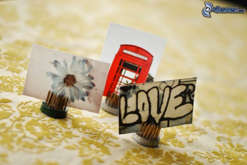 fotos, flor blanca, cabina telefónica, love, grafiti