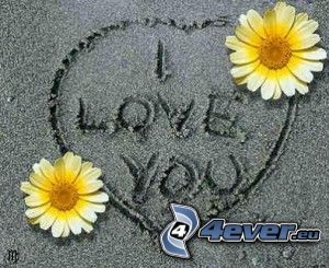 I love you, Te quiero, corazón en la arena, flores