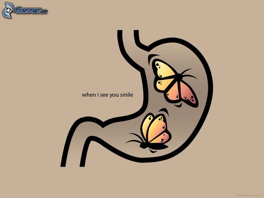 mariposas en el estómago