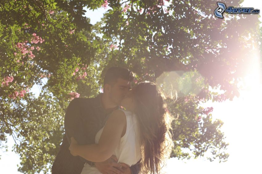 pareja, beso, la floración de árboles, rayos de sol