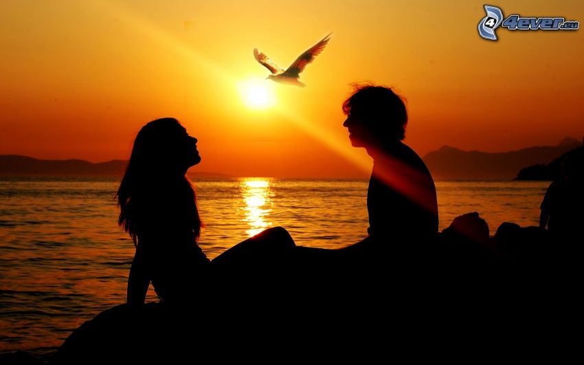 silueta de una pareja, puesta de sol sobre el mar, águila