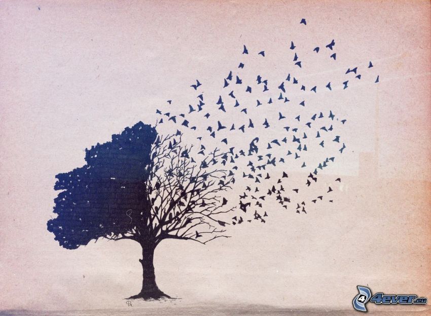 árbol, bandada de pájaros