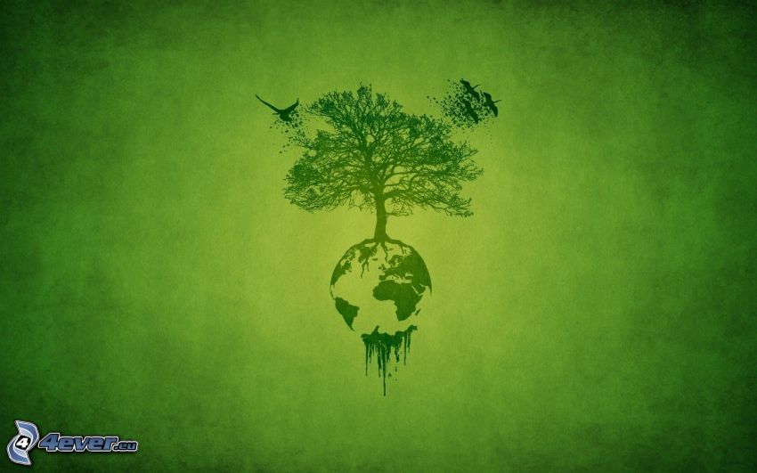 árbol, Tierra