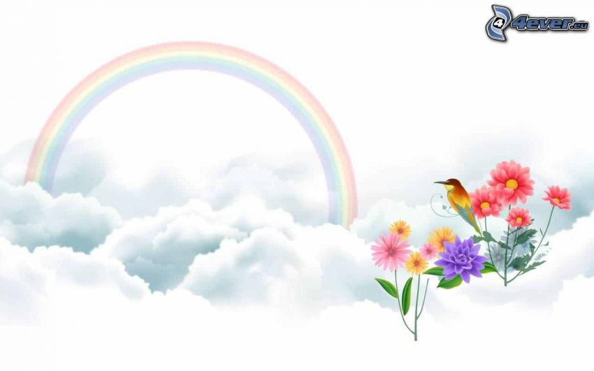arco iris, pájaro, flores de colores
