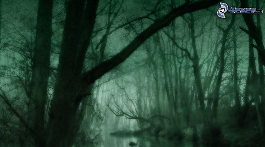 bosque oscuro