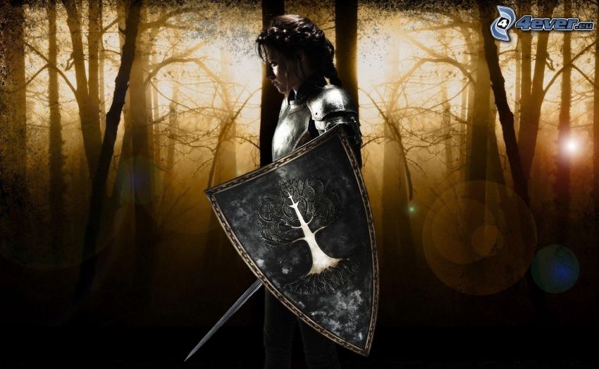 caricatura de mujer, armería, escudo, espada, bosque