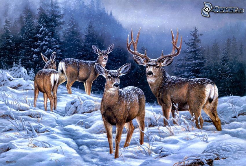 ciervos, paisaje nevado