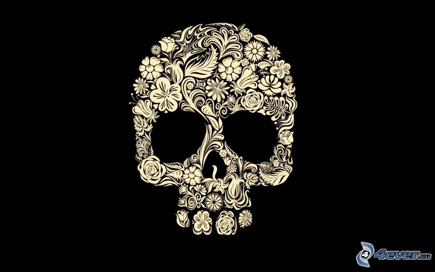 cráneo, flores dibujados