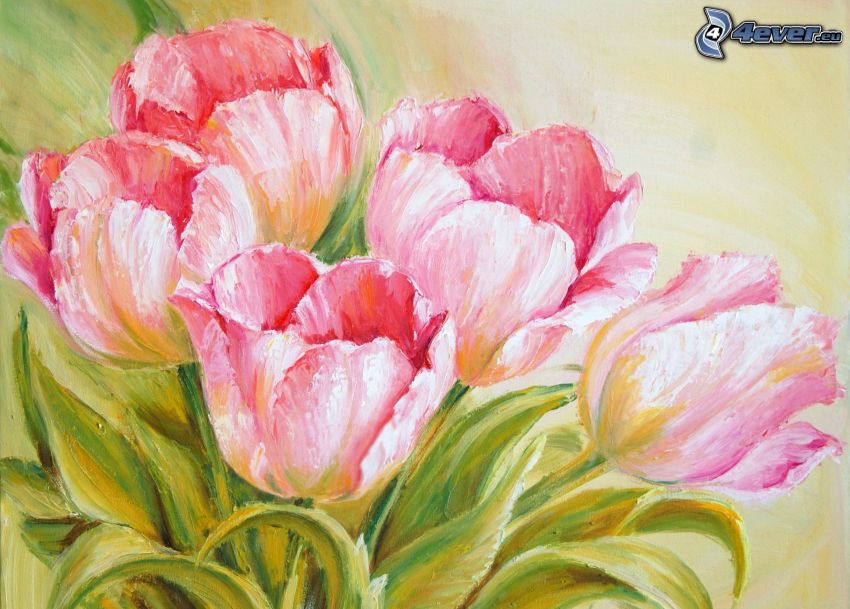 tulipanes de color rosa, ramo