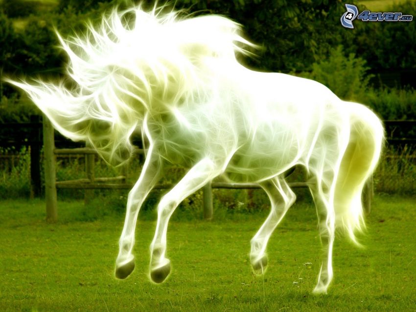 caballo blanco, animales de Fractal