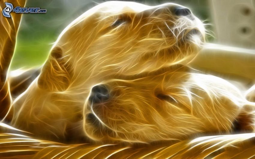 cachorros durmiendo, animales de Fractal