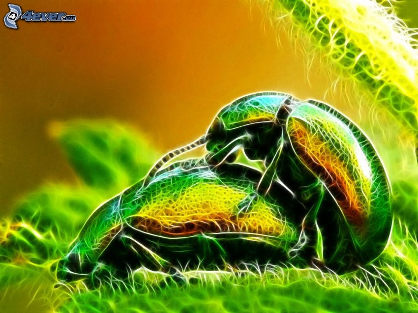 escarabajo, apareamiento, animales de Fractal