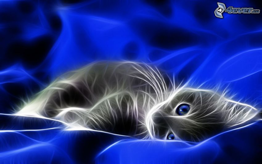 gato fractal, ojos azules