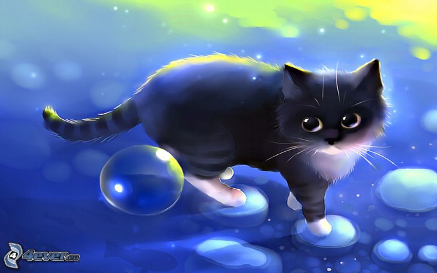 gato negro, burbujas