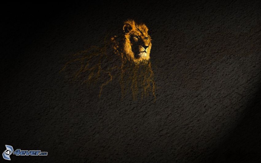 león, pared