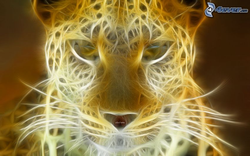 leopardo fractal