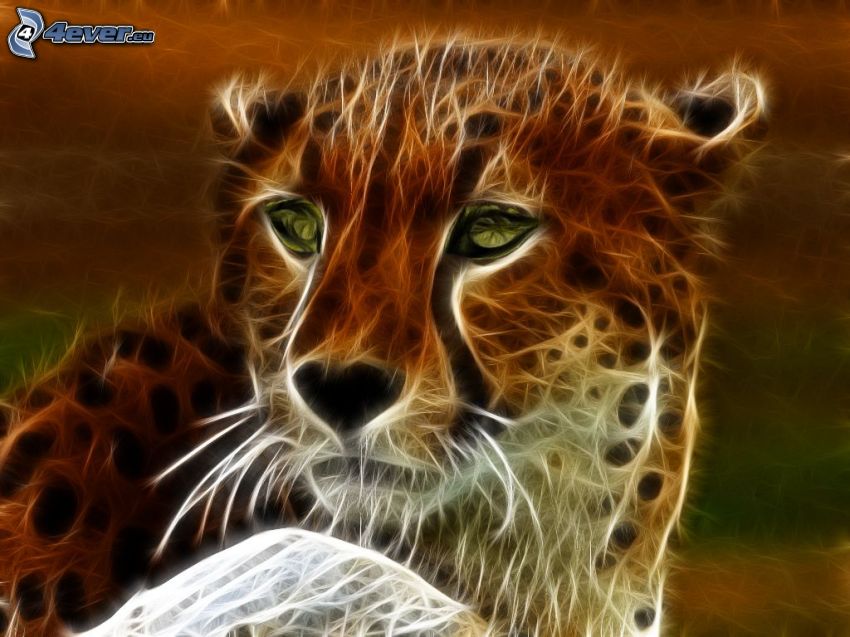 leopardo fractal