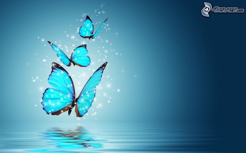 mariposas azules, agua, fondo azul