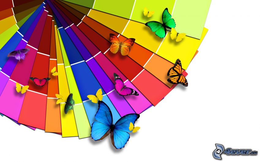 mariposas de colores