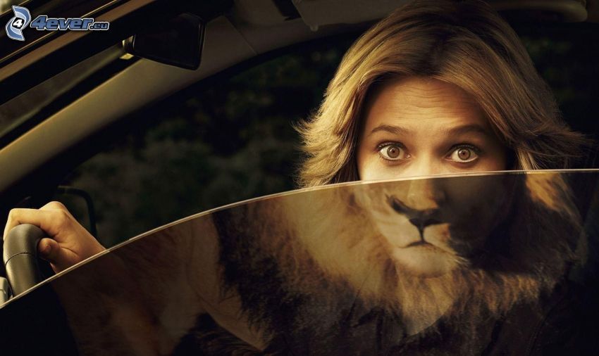 mujer en coche, rubia, león, reflejo