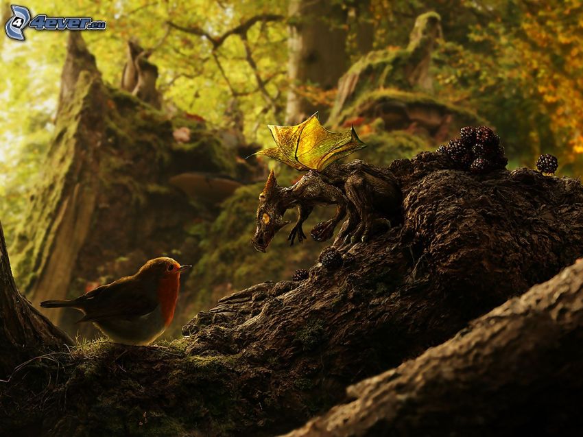 pájaro, dragón, corteza de árbol, bosque, Phil McDarby