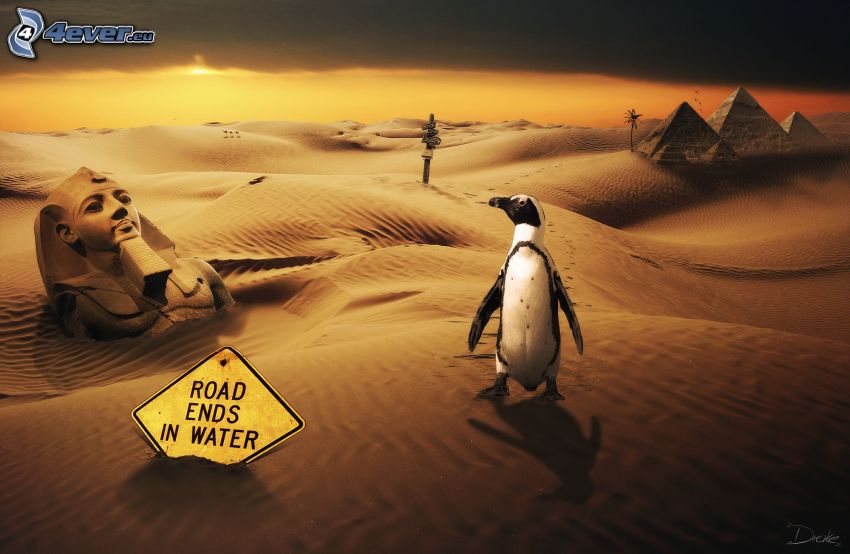 pingüino, desierto, Egipto, esfinge