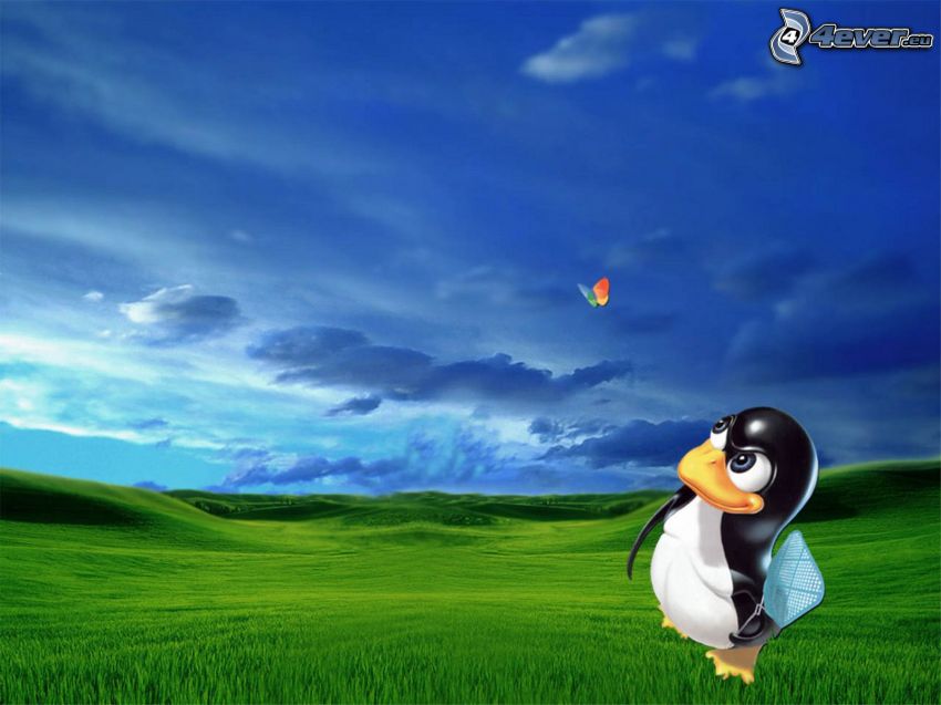 pingüino, Linux