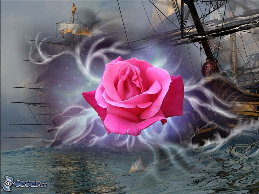 rosa violeta, naves, mar tormentoso