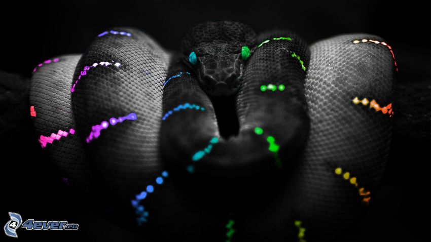 serpiente de colores