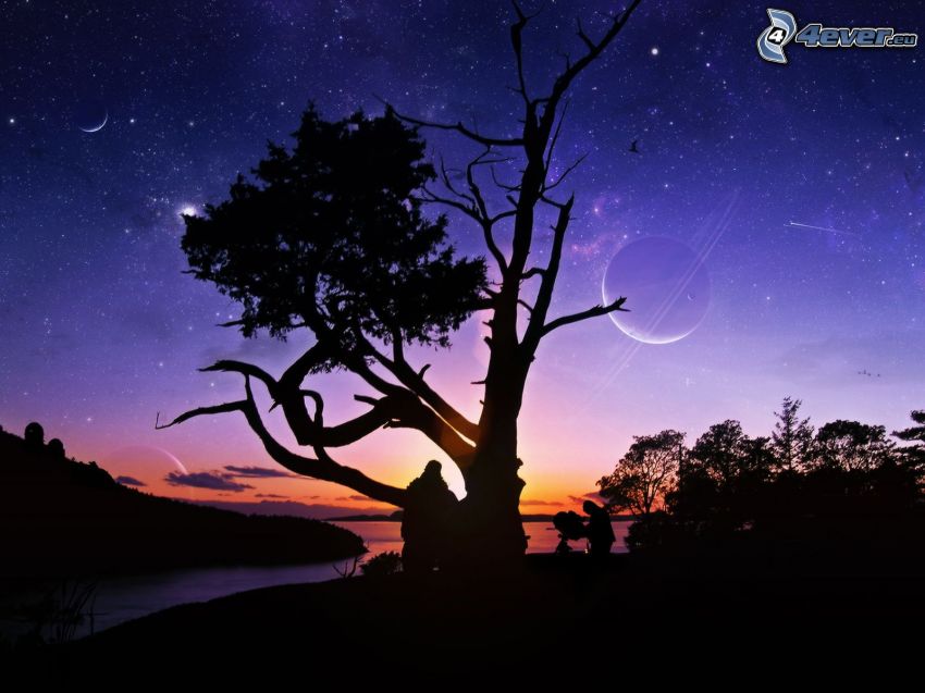 silueta de un árbol, cielo de noche, mes, estrellas, siluetas