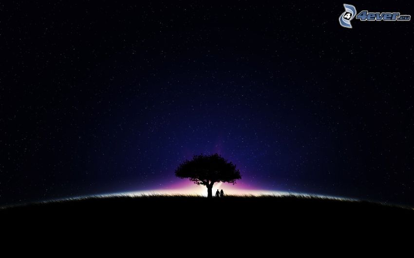 silueta de un árbol, silueta de una pareja, estrellas, luz intensa