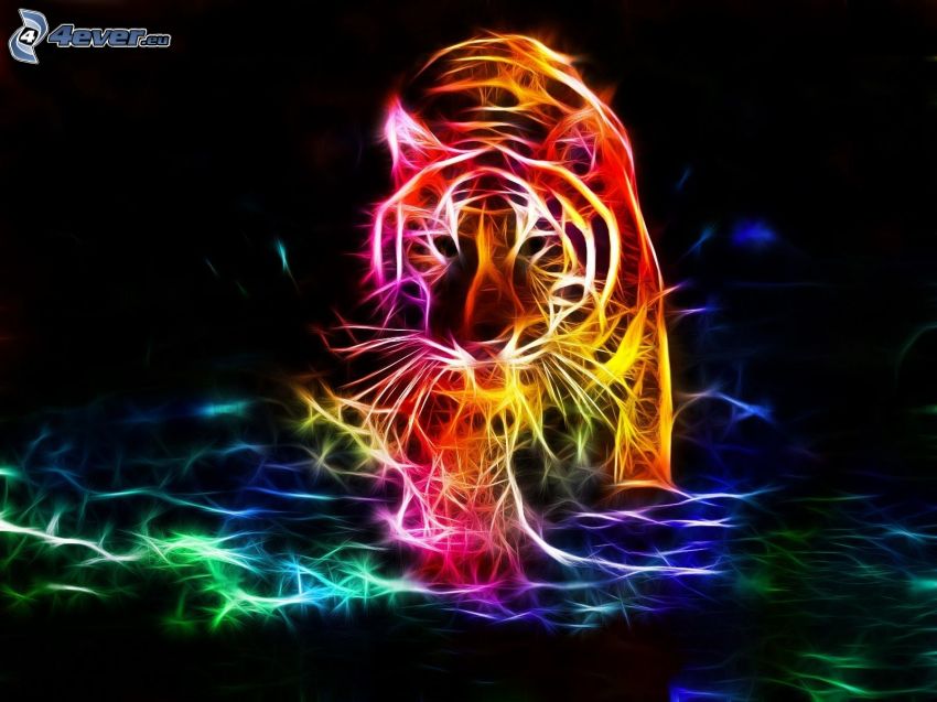 tigre fractal