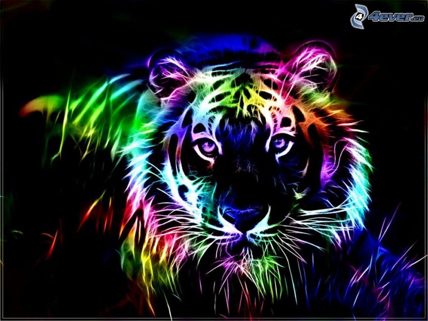 tigre fractal