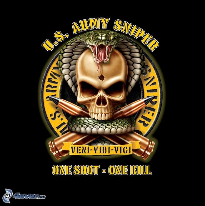 U.S. Army sniper, one shot - one kill, cráneo, serpiente, proyectil