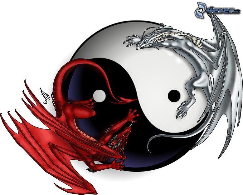 yin yang, dragones, equilibrio