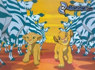 El Rey León, Simba, Nala, Zebras
