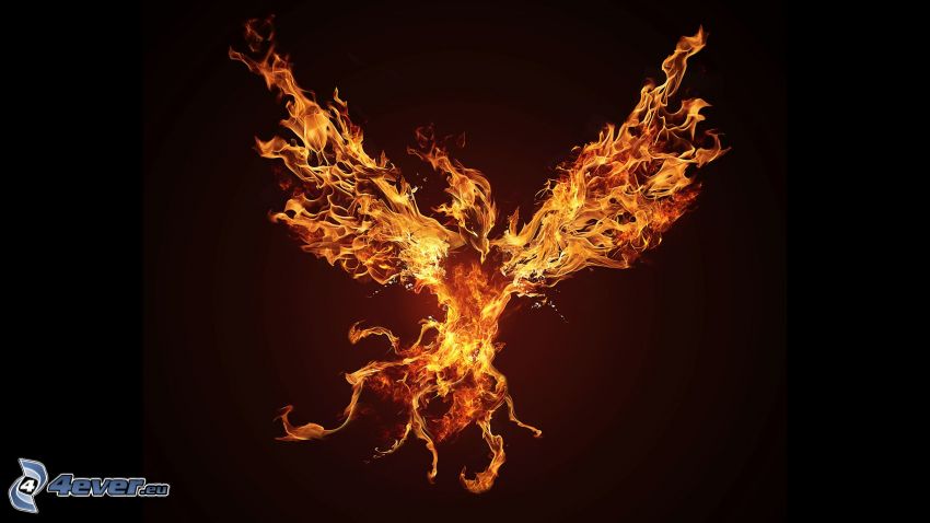 Fénix, pájaro de fuego