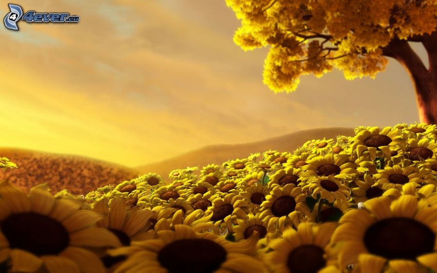 Girasol, flores amarillas, árbol
