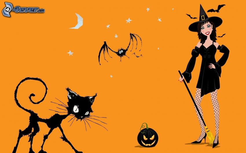 Halloween, bruja, gato negro, murciélago