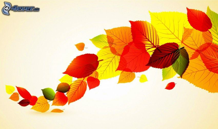 las hojas coloradas