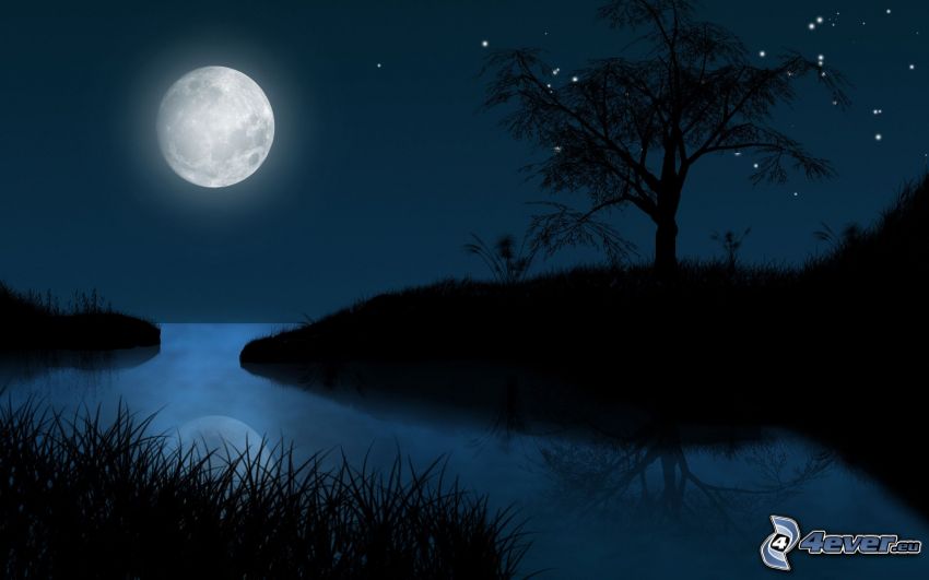 noche, mes, silueta de un árbol, río