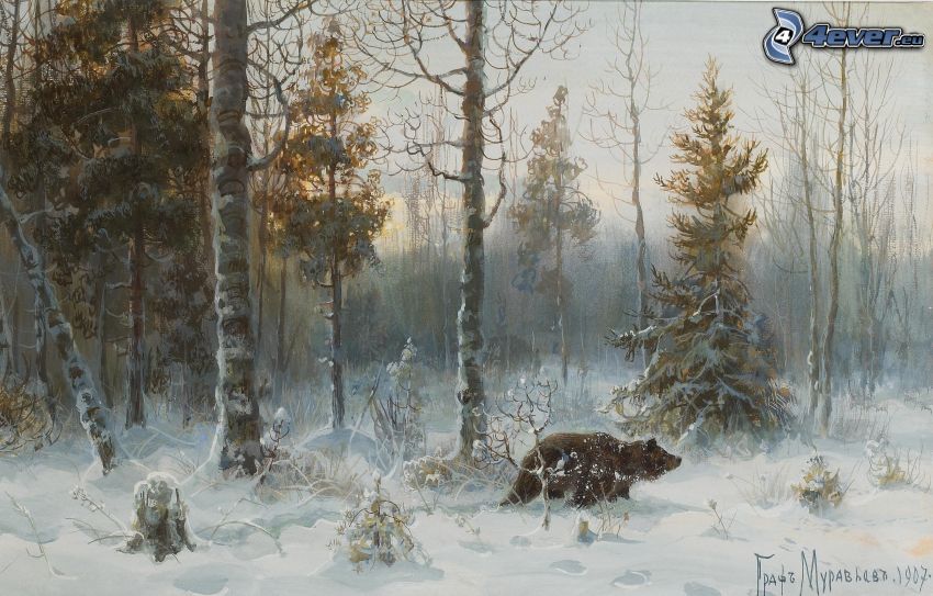oso, bosque nevado