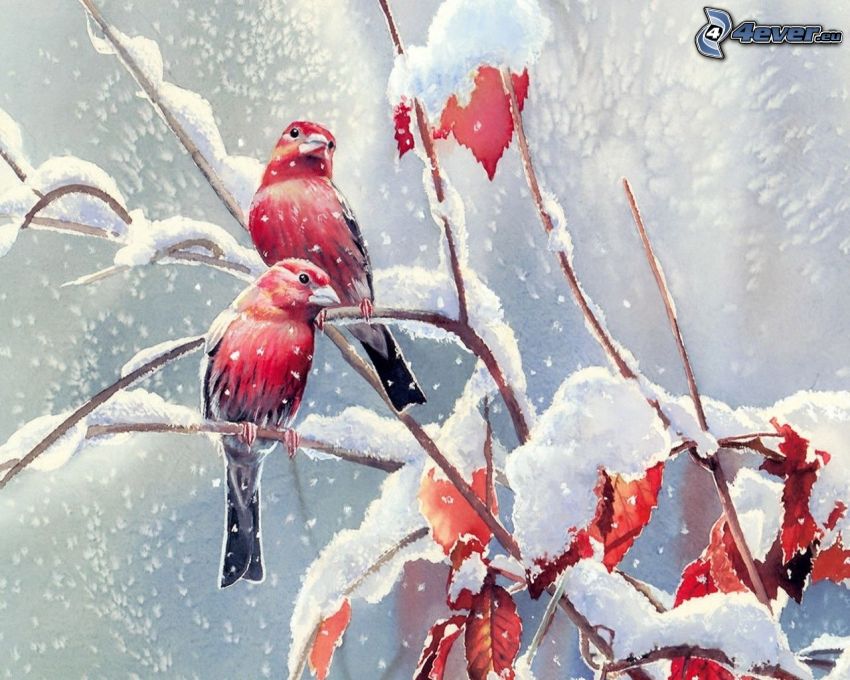 pájaros en una rama, nieve